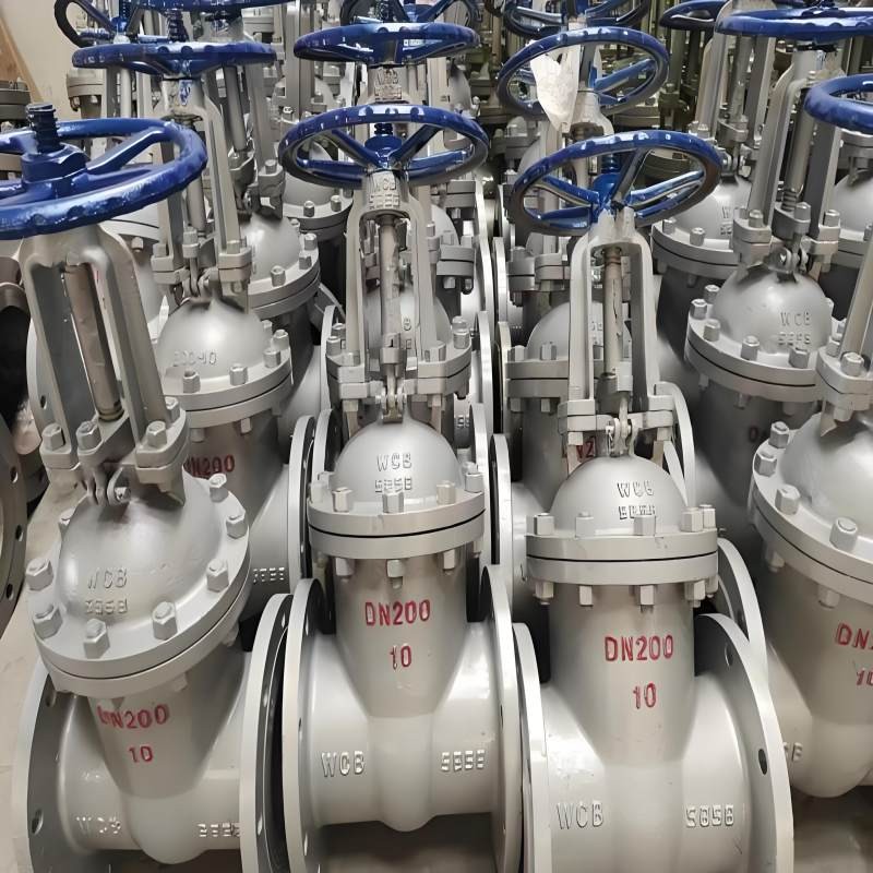 12 インチ ゲート バルブ弾性シート フルポート 200 Psi AWWA C509